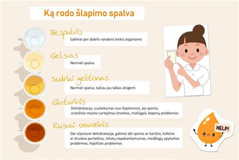 Vitaminų poveikio šlapimo spalvai schema