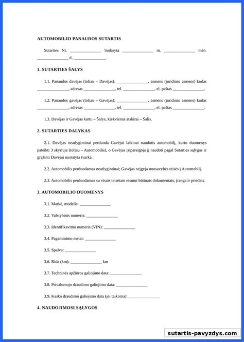 automobilio statymo leidimo pavyzdys