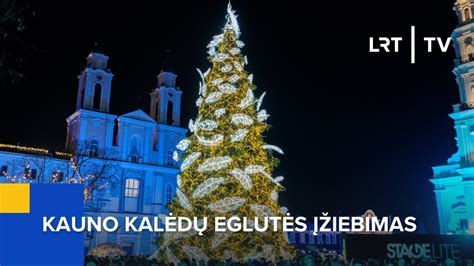istorinė iliustracija su senovine kalėdine eglute