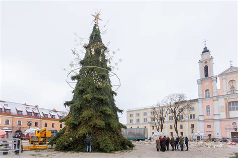 Kauno kalėdinės eglės transportavimo nuotrauka