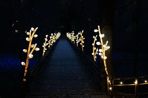 Žibintų ir šviesos festivalio vaizdas sutemus