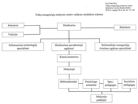 Teisinė schema: vadovo atsakomybės sąlygos
