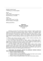 Grafikas: vadovų atsakomybės bylų skaičius ir ieškinio sumos (pavyzdys)