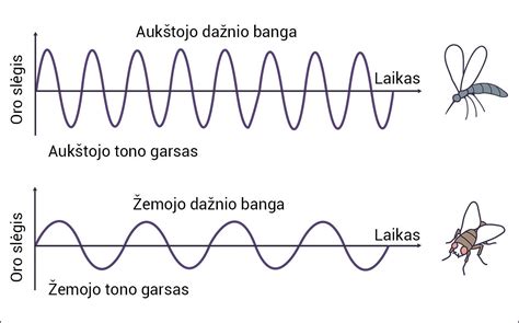 Infografika, paaiškinanti dažnio atsako ir galios svarbą garso sistemose.