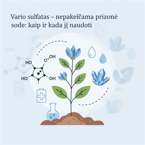 Infografika: kaip teisingai prijungti teigiamą ir neigiamą jungtis