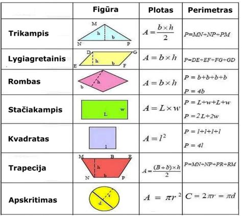 Infografika, paaiškinanti naudingojo ploto skaičiavimo principus daugiabutyje.