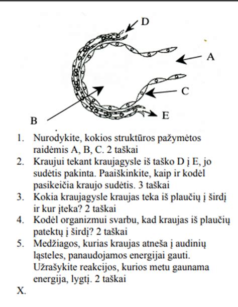 Droselio struktūros pavyzdys