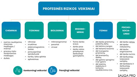 automobilio patikra, saugumas, rizikos vertinimas