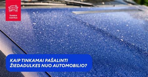 schematinis vaizdas, kaip medžių sakai lieka ant automobilio kėbulo ir kaip juos pašalinti su specialiu valikliu