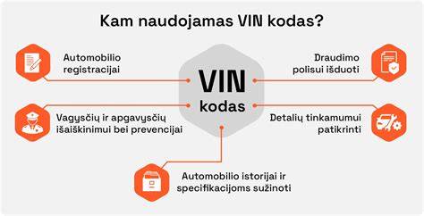 Diagrama: kur ieškoti VIN ir kokią informaciją atskleidžia patikra