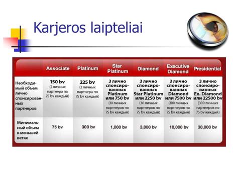 karjeros laipteliai autoelektriko srityje (infografika)