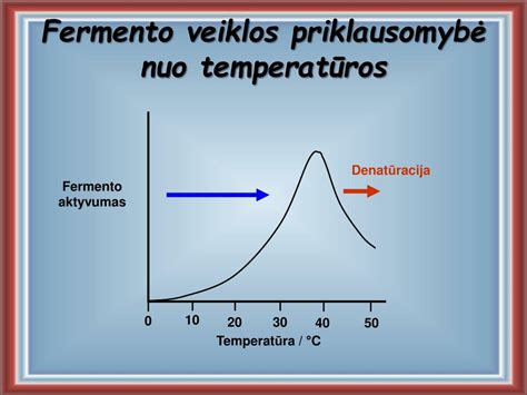 grafikas, vaizduojantis fermento aktyvumo priklausomybę nuo temperatūros