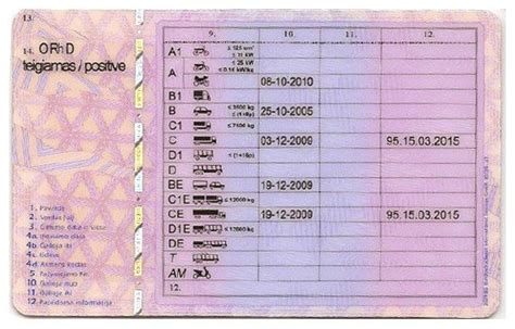 Infografika: dažniausiai ieškomų vairuotojų kategorijos