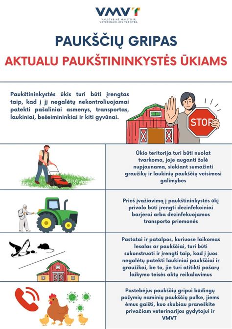 Schemos, iliustruojančios LSPI reiškinį ir jo prevenciją tinkama alyva