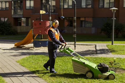 Paveikslėlis: žolės pjovimo ir teritorijos valymo darbai