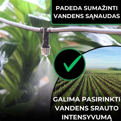 Sodininko laistymo sistema raugerškiui
