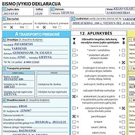 Vairuotojas pildo eismo įvykio deklaraciją