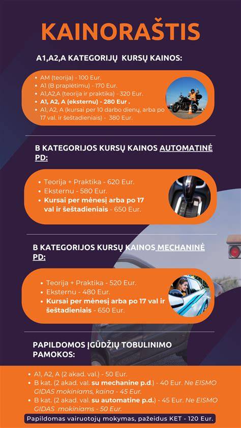 Infografika: Ginto vairavimo mokykla - veiklos sritis, klientų segmentai, paslaugų paletė