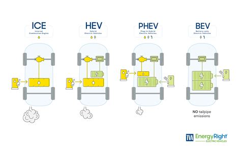 Infografika: Elektrifikuotų automobilių tipai (BEV, PHEV, HEV, FCEV)