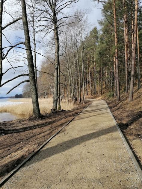 schematinis brėžinys, iliustruojantis kelio elementus: važiuojamoji dalis, šaligatvis, kelkraštis, dviračių takas, pėsčiųjų takas