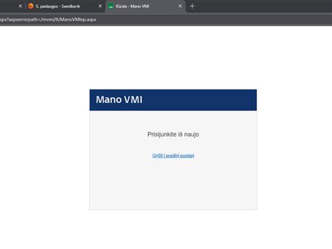 Mano VMI sistemos sąsajos pavyzdys (ekrano nuotrauka)
