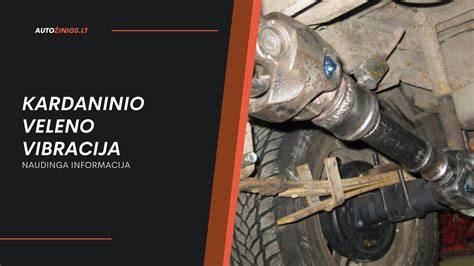 Infografika: kardano veleno sandara ir perdavimo grandinė
