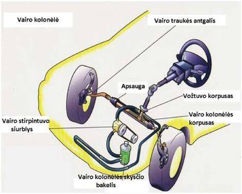 Vairo kolonėlės pjūvio schema su guolių vieta