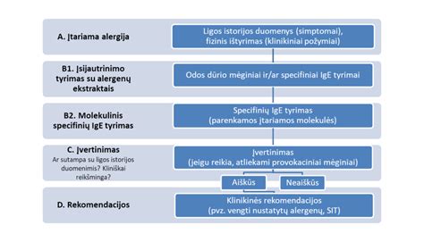 Infografika: kompiuterinės diagnostikos privalumai