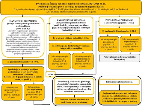 infografika: vairuotojo atostoginio lapo pildymo schema ir pagrindiniai etapai