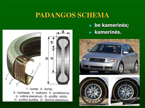 Padangos sandaros schema