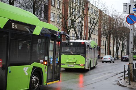 Troleibuso vairuotoja tikrina transporto priemonės techninę būklę