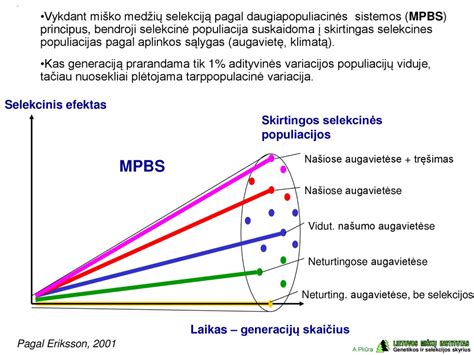 Infografika, lyginanti tiesioginės ir netiesioginės TPMS sistemos veikimo principus