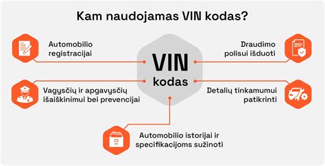 Schema, iliustruojanti VIN kodo struktūrą ir pagrindinius informacijos laukus