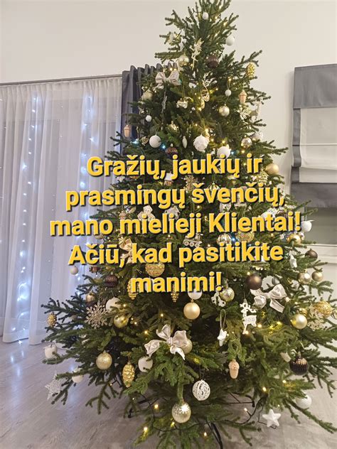 Infografika, lyginanti paslėptų defektų išlaidų riziką su automobilio patikros kaina