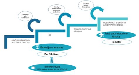 Draudimo išmokos schema