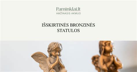 Infografika, lyginanti „Vienybės statulos“ ir kitų pasaulio statulų aukštį