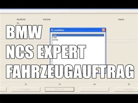 BMW NCS Expert programinės įrangos sąsajos pavyzdys