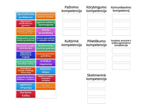 Schema: Vairuotojo profesinių įgūdžių tobulinimo eiga ir reikalingos kompetencijos