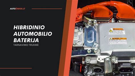infografika: hibridinio automobilio komponentų ilgaamžiškumas ir garantijų palyginimas
