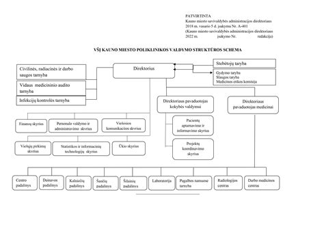 schema: psichikos sveikatos pažymos gavimo procesas ir sąsaja su bendra vairuotojo patikra