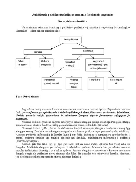 Infografika: Lenkijos kelių mokesčių sistemos struktūra