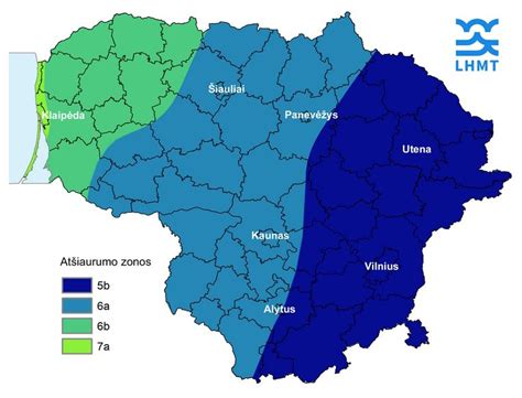 Lietuvos klimato zonai tinkamų alyvų tipų palyginimas (SAE ir API)