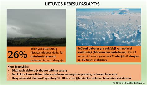 Infografika, iliustruojanti garantijos laikotarpį ir jo svarbą