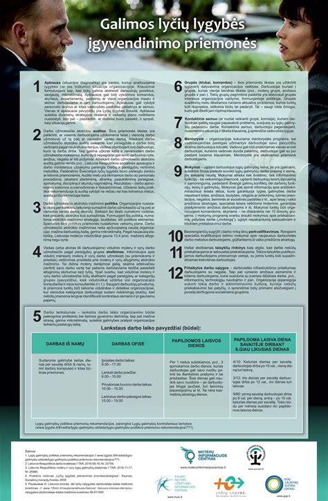 infografika: transporto priemonių kategorijų medis pagal amžiaus grupes ir techninius parametrus