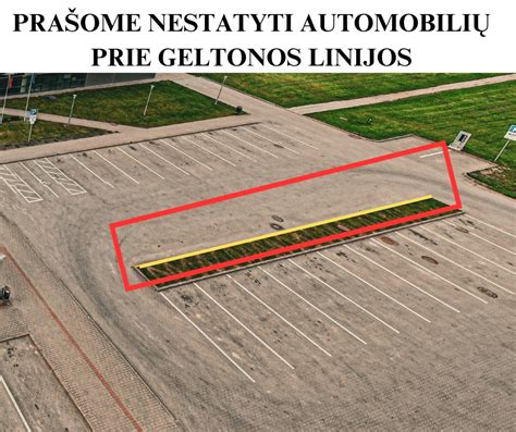 Tematinė nuotrauka: mokyklos automobiliai prie „Regitros“ pastato