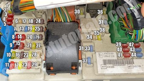 Ford Focus valdymo bloko schema.
