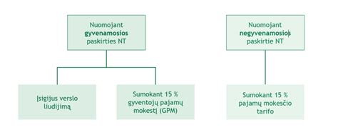 Infografika, lyginanti nuomos sąnaudas ir vairuotojo pajamas