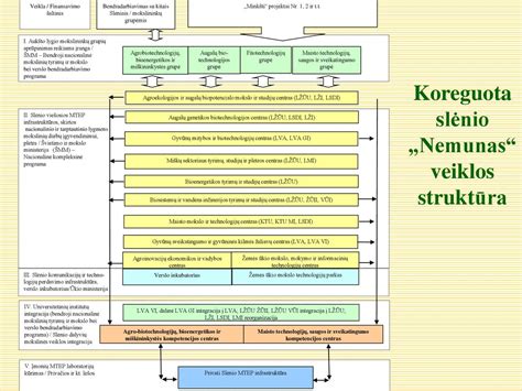 Schema, iliustruojanti vairuotojų pirminio mokymo proceso etapus ir reikalavimus