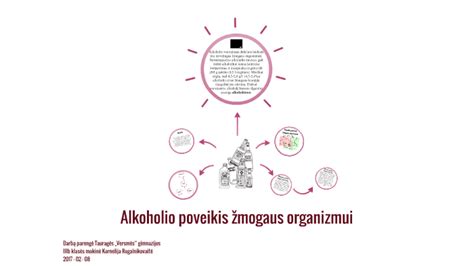 Alkoholio poveikis vairuotojo organizmui