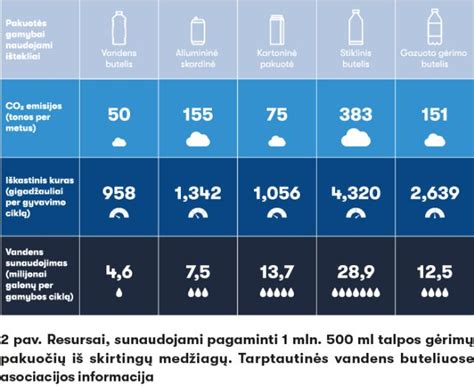 Silikono ir gumos cheminės struktūros palyginimas